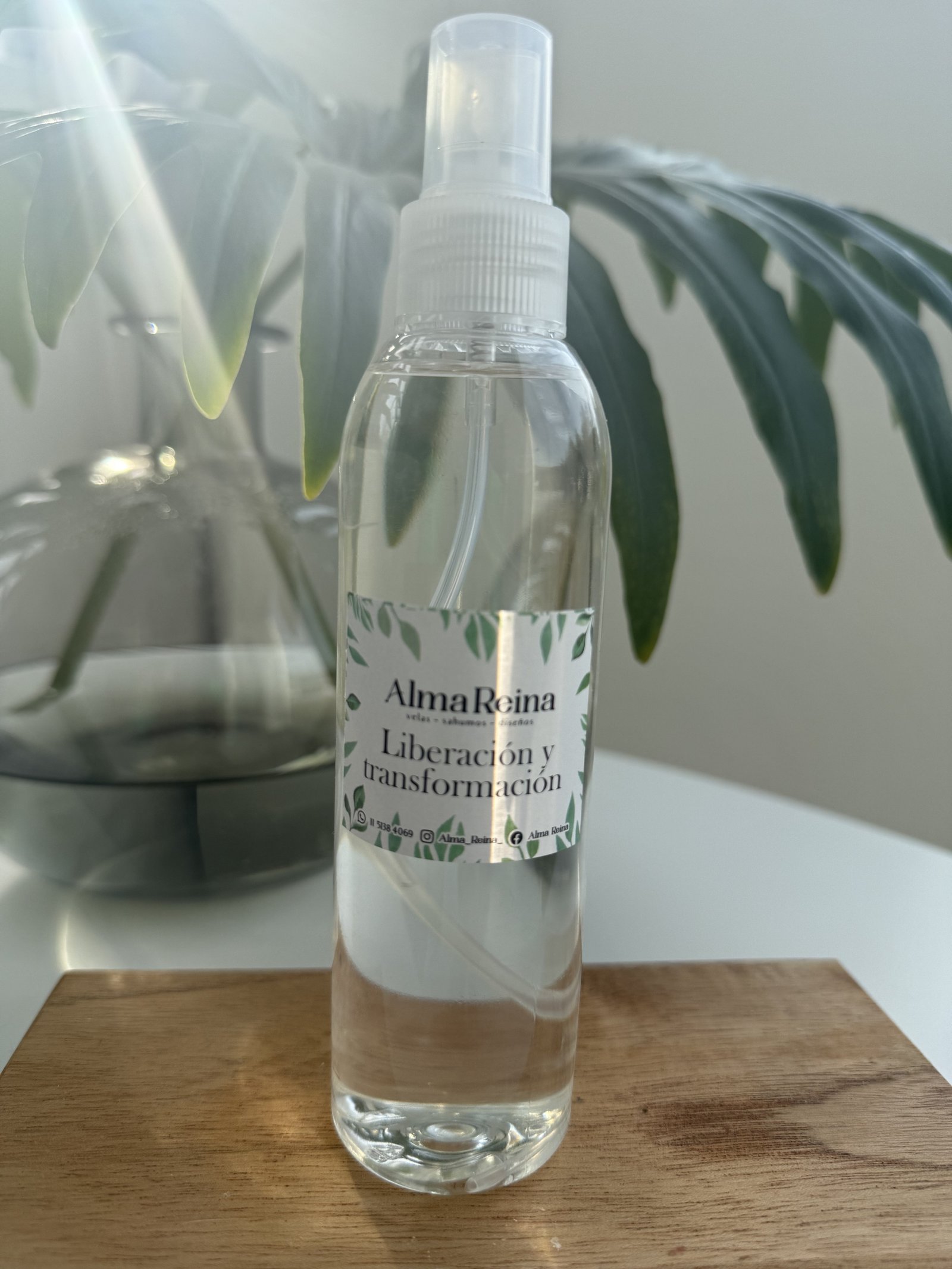 Liberación y Transformación